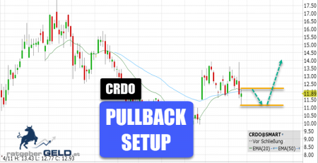 Credo Technology Group Holding Ltd. (CRDO)