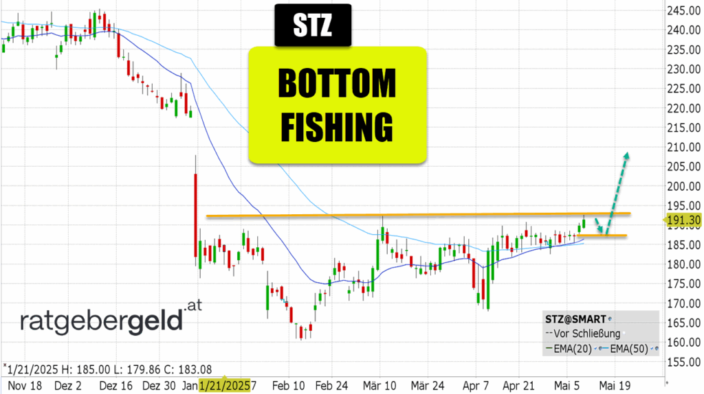 Constellation Brands (STZ)