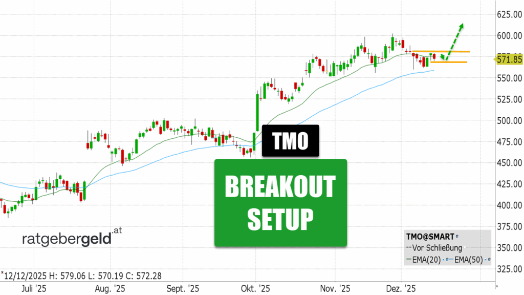 Thermo Fisher Scientific (TMO)