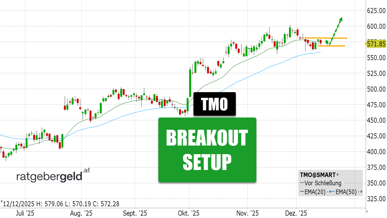 Thermo Fisher Scientific (TMO)