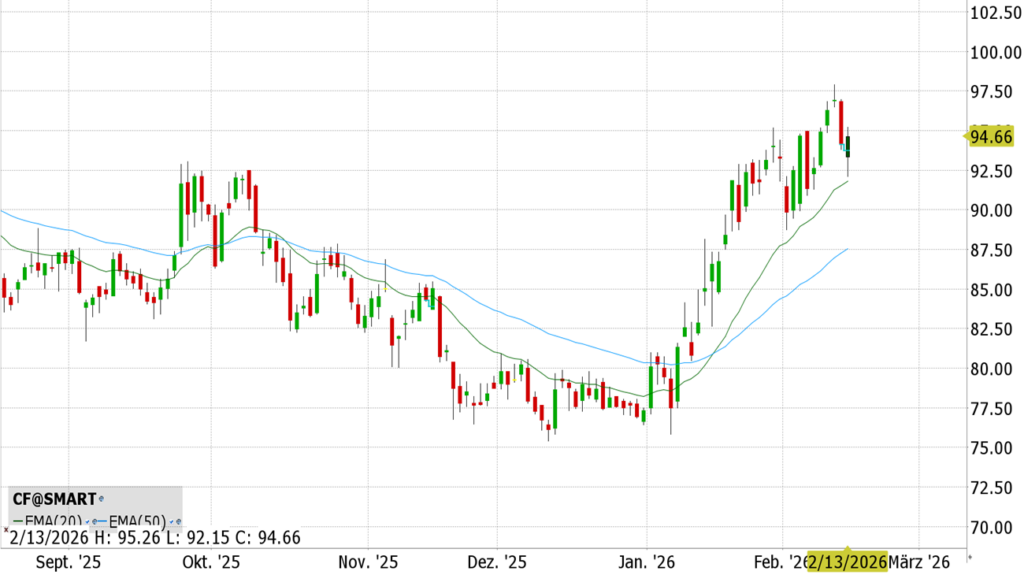 CF Industries Holdings, Inc. (CF) - ISIN US1252691001